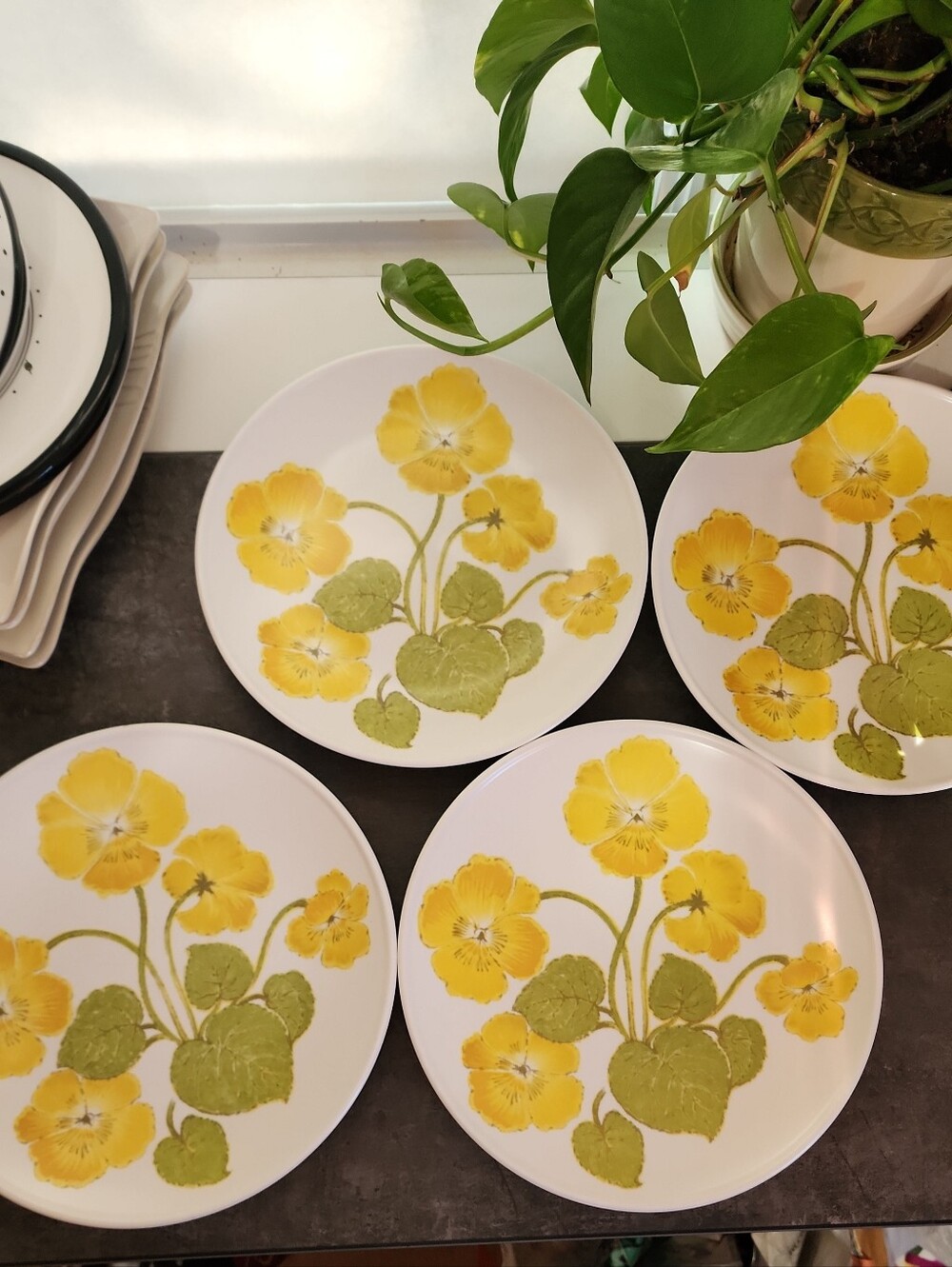 Noritake Progression China 4 -10.5" Dinner Plates Flower Time Made in Japan 9072